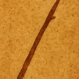 One Stick